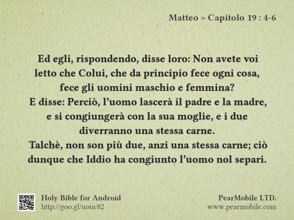 Matteo, Capitolo 19:4-6